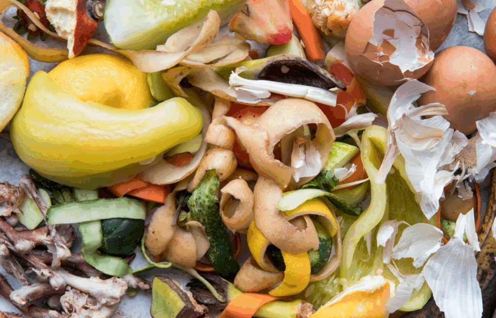 ¿Cómo debo separar la basura en la CDMX a partir del 1 de enero de 2026? ¿Cómo debo separar la basura en la CDMX a partir del 1 de enero de 2026?