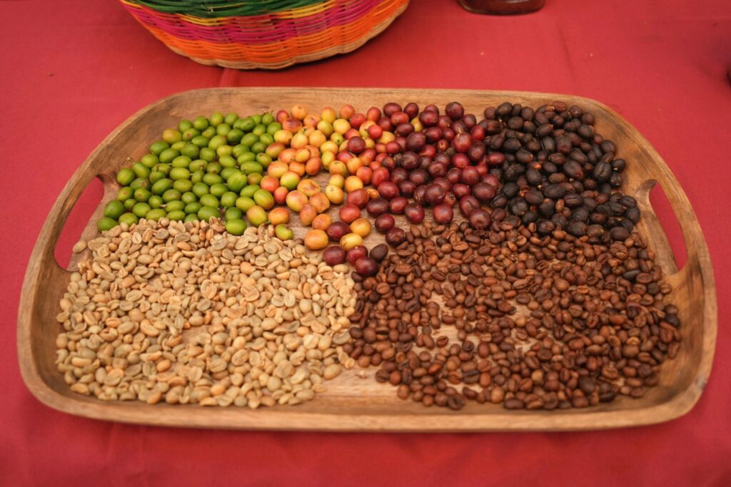 Guerrero impulsa la soberanía alimentaria con centro de acopio