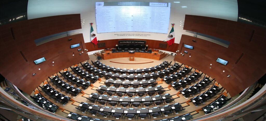 El Senado debate cómo corregir la sobrerrepresentación tras las elecciones de 2024